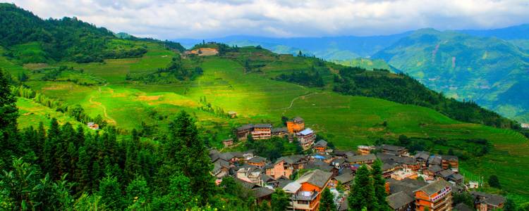 Rice Terraces